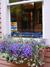 Window box, Ketchikan