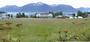 Haines