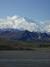 Denali Naional Park