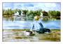 Boy on dock, Vinalhaven, Maine