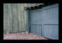 Green Doors, take 2