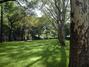 Lawn, MNH