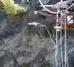 Leap of faith, near Queenstown