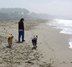 At the beach, Sept. 2008 At the beach, Sept. 2008
