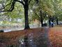 Christchurch.