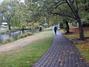 Christchurch