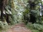 Almost anywhere, New Zealand