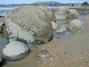 Moeraki boulders