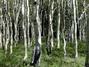 Aspen, Utah Aspen, Utah