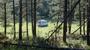 The Wee Van in The Woods The Wee Van in The Woods
