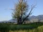 Near Livingston, Wyoming Near Livingston, Wyoming